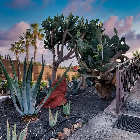 Апартаменты Etna-near Playa Flamingo *
