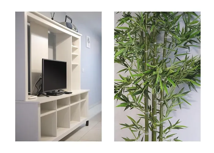 Etna-near Playa Flamingo Lägenhet